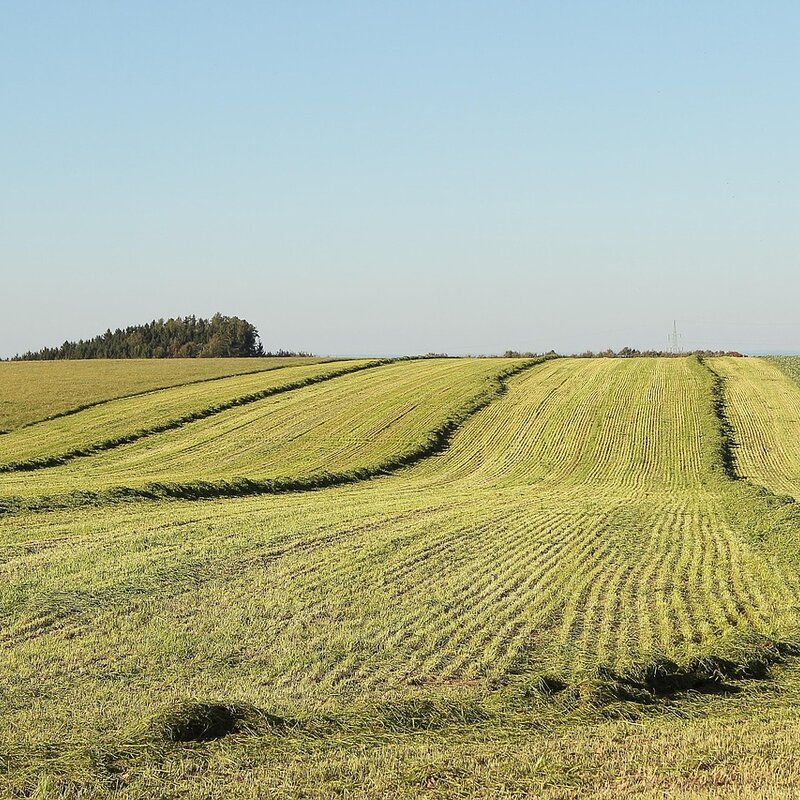Stavební parcela 630 m2 v Běle nad Radbuzou